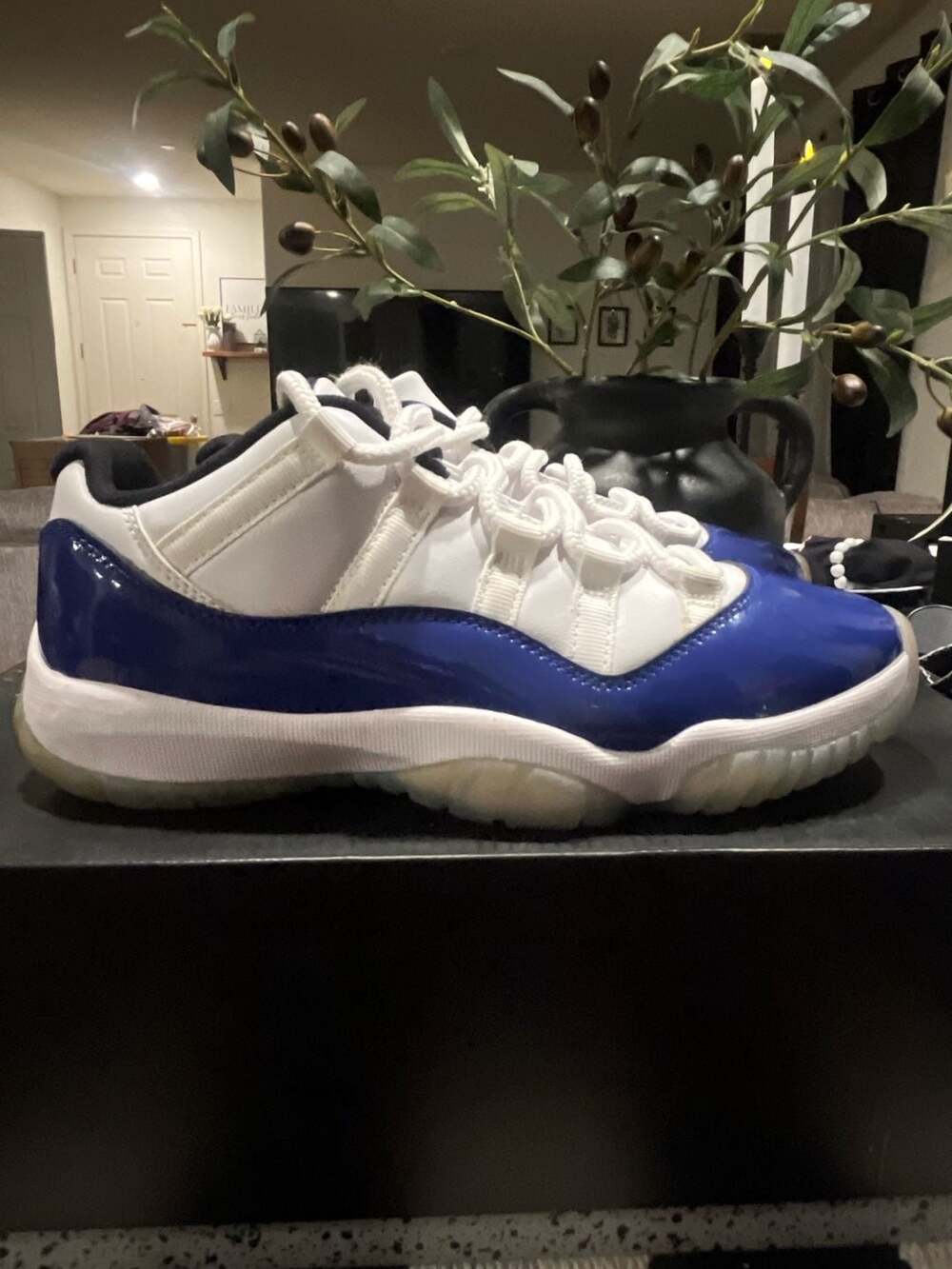Jordan 11 Retro Low Concord Sketch (W)